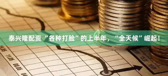 泰兴隆配资 “各种打脸”的上半年，“全天候”崛起！